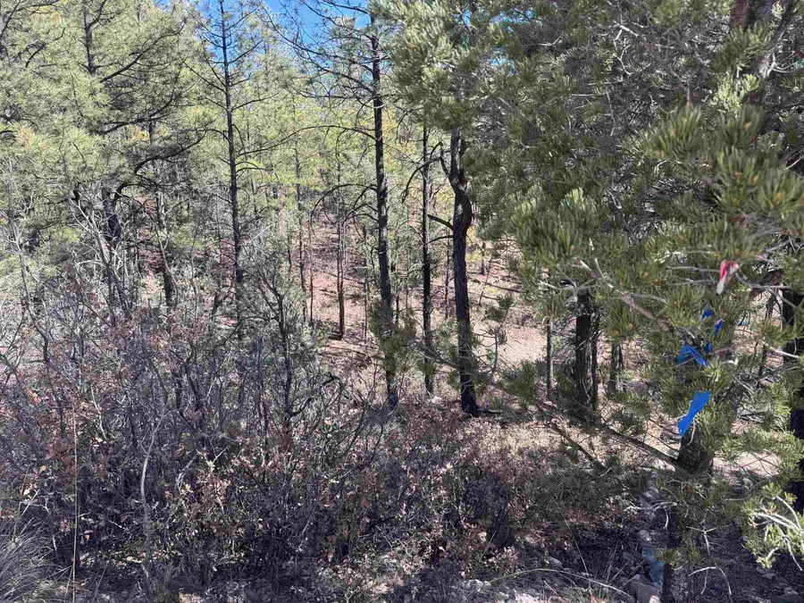 4 Trinidad Ave, Timberon, NM 88350-0000 - #3