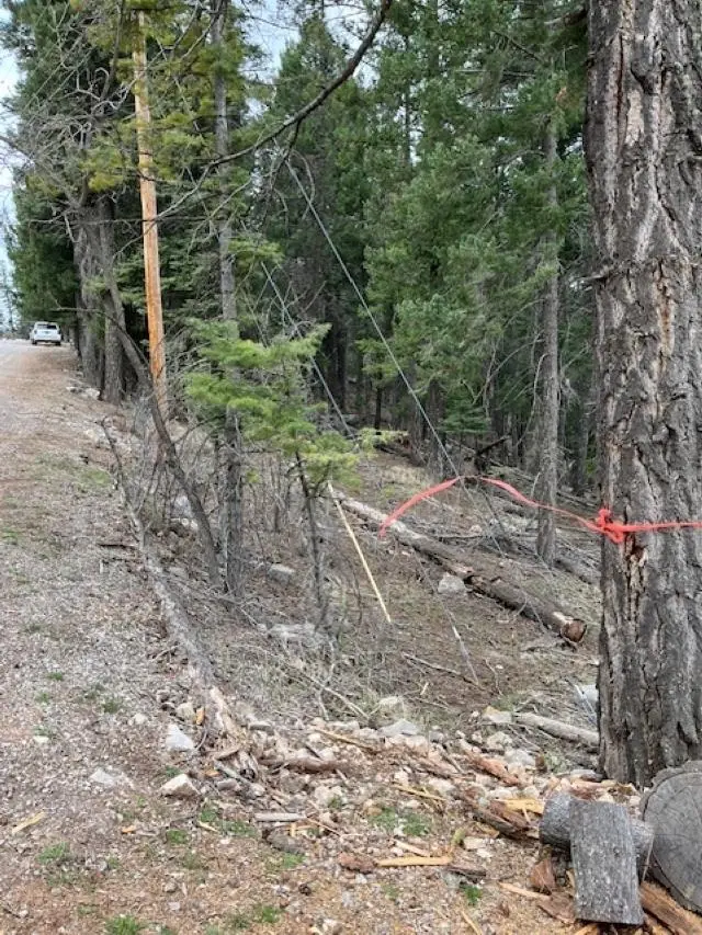 Sugar Pine Dr, Cloudcroft, NM 88317-0544 - #1