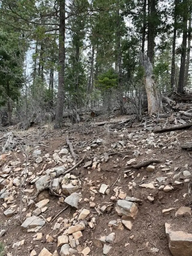 Sugar Pine Dr, Cloudcroft, NM 88317-0544 - #2