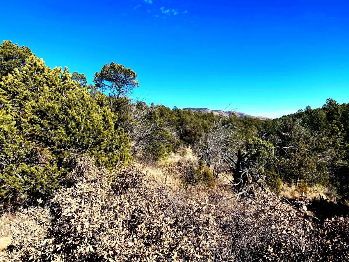 Ruby Dr, Timberon, NM 88350 - #1