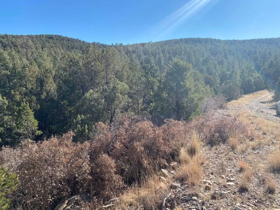 Ruby Dr, Timberon, NM 88350 - #2