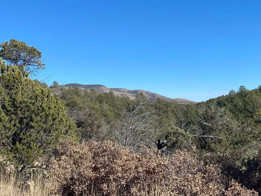 Ruby Dr, Timberon, NM 88350 - #3
