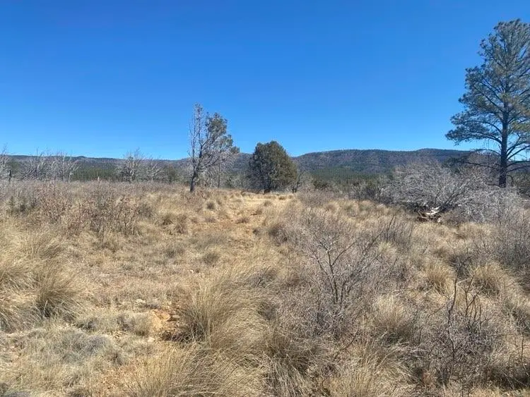 55 Cherokee Dr, Timberon, NM 88350 - #2