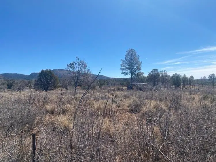 55 Cherokee Dr, Timberon, NM 88350 - #3