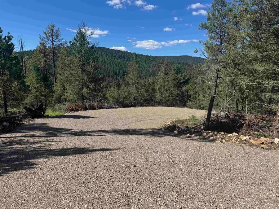 2605 US Hwy 82, Mayhill, NM 88339-0000 - #2