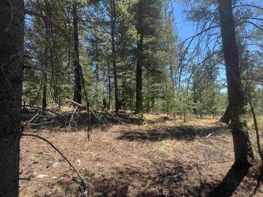 2605 US Hwy 82, Mayhill, NM 88339-0000 - #3