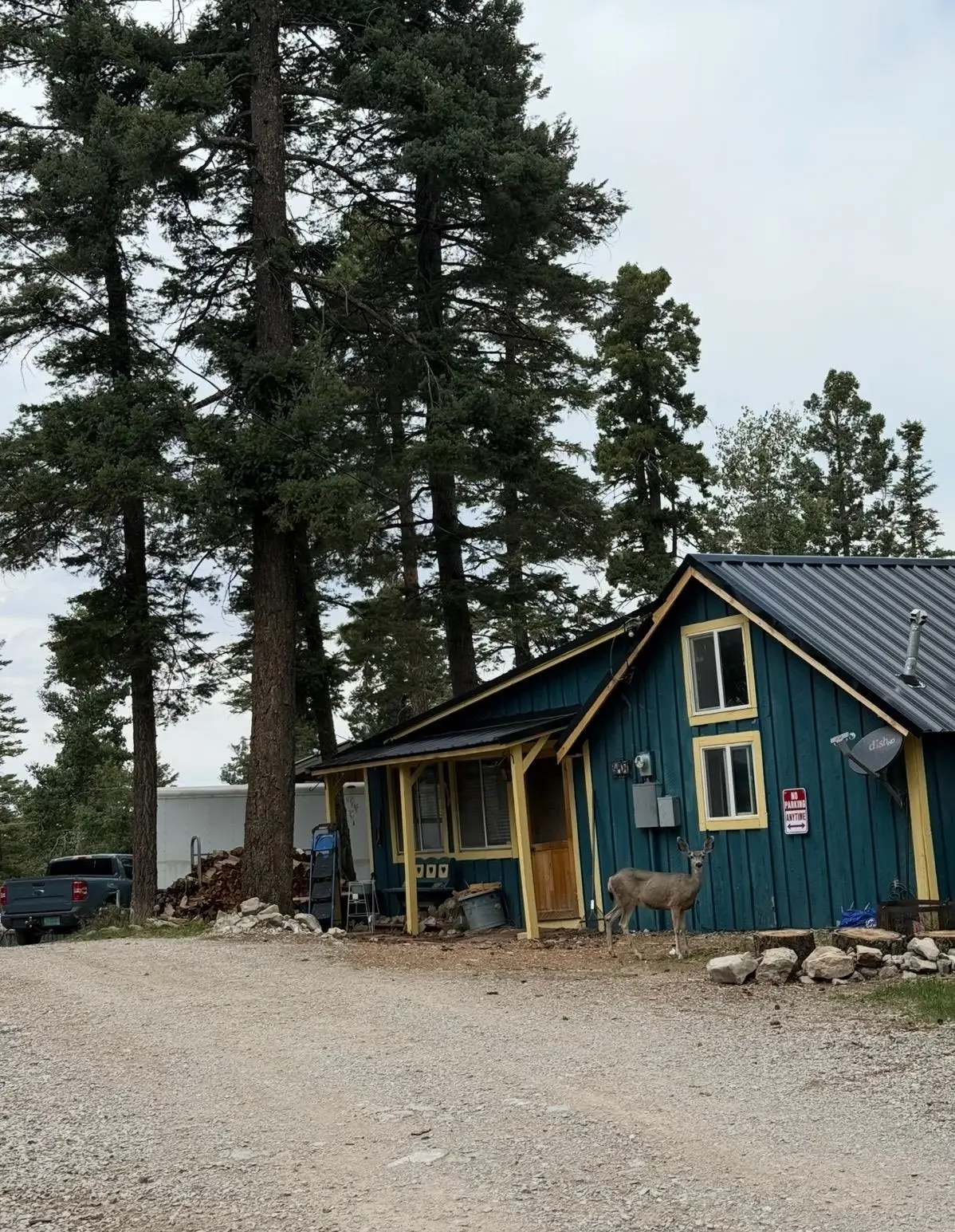 417 Phelps Circle, Cloudcroft, NM 88317 - #1