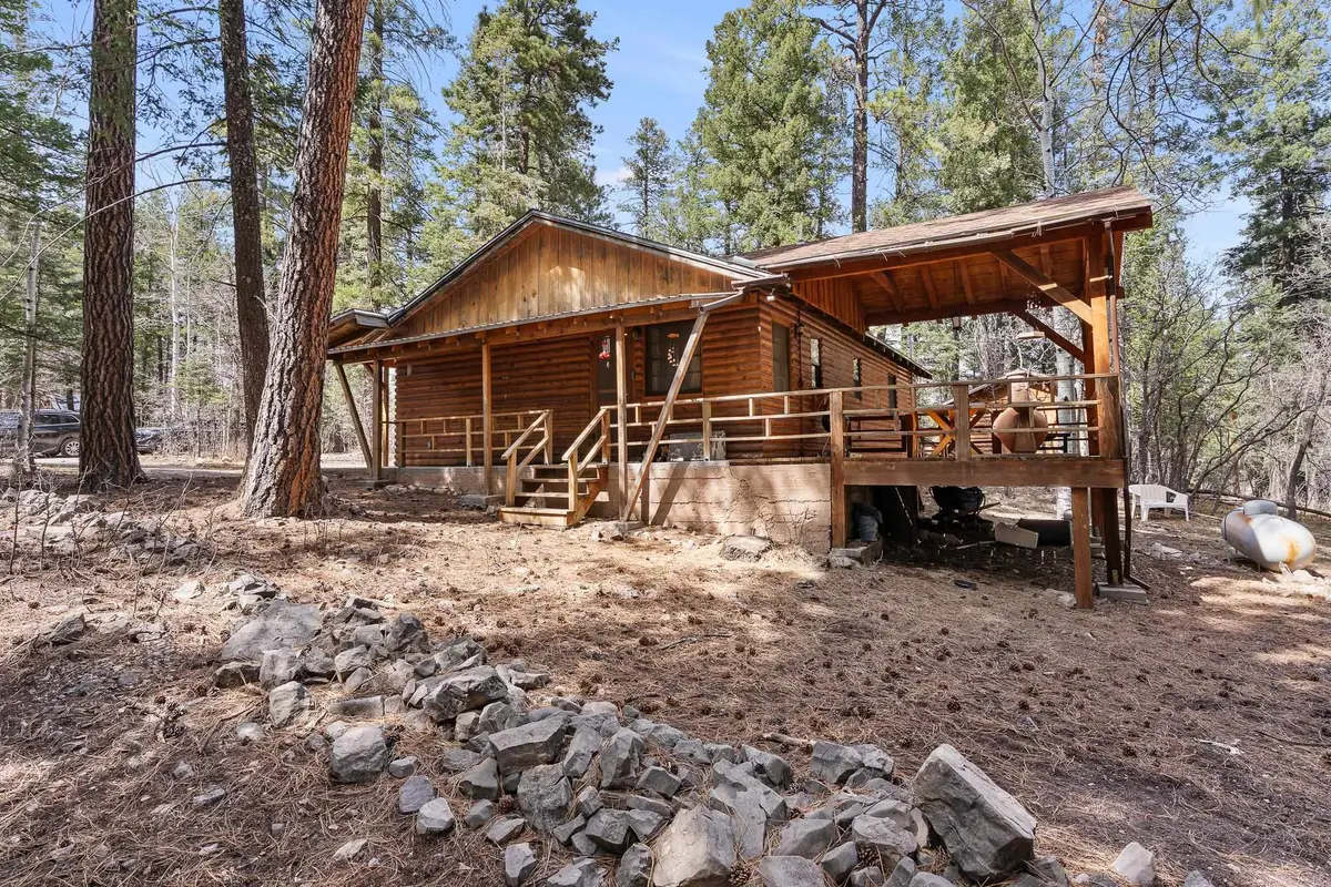 1007 Panther Ave, Cloudcroft, NM 88317 - #1