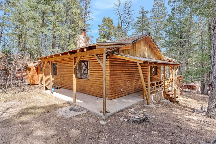 1007 Panther Ave, Cloudcroft, NM 88317 - #2