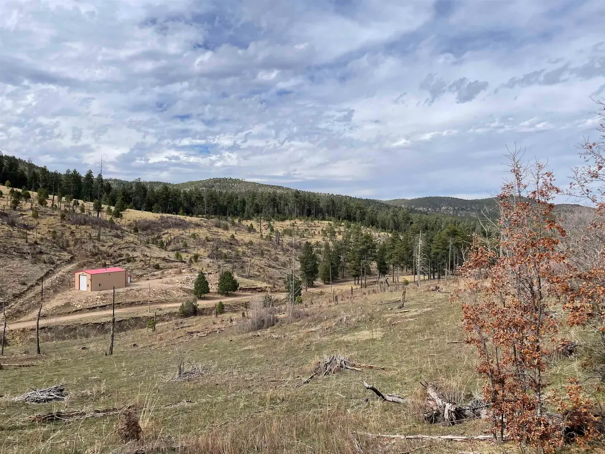 Balsam Dr, Sacramento, NM 88347 - #1