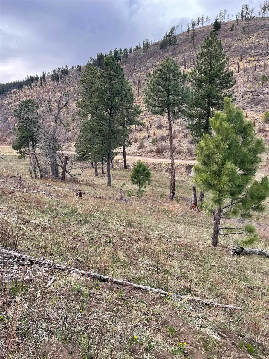 Balsam Dr, Sacramento, NM 88347 - #2