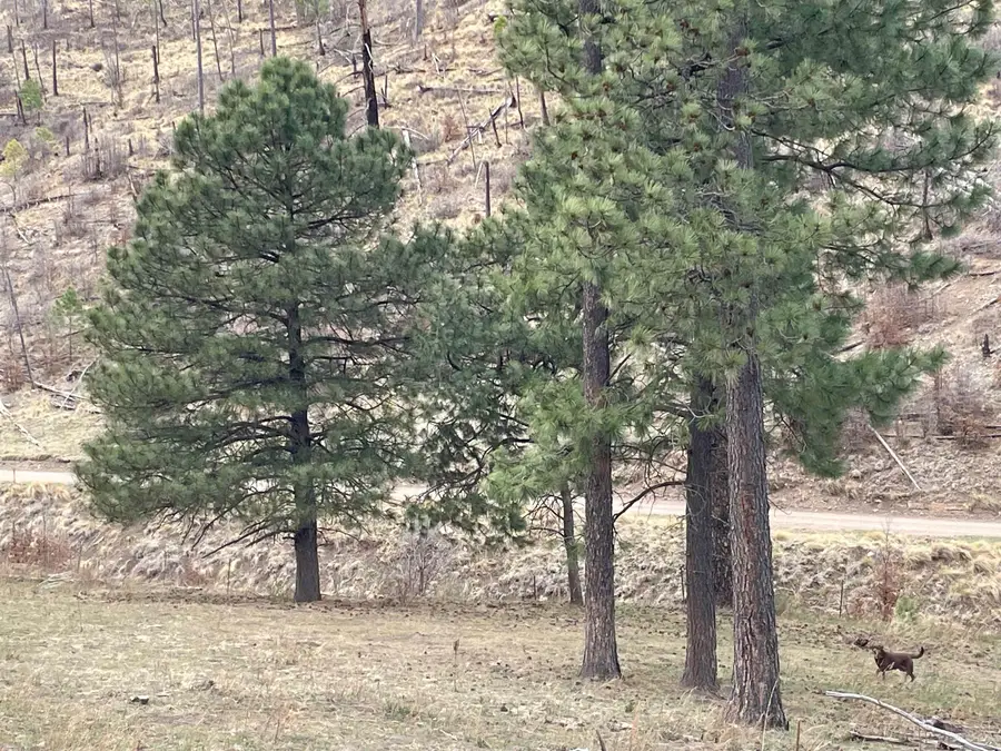 Balsam Dr, Sacramento, NM 88347 - #3