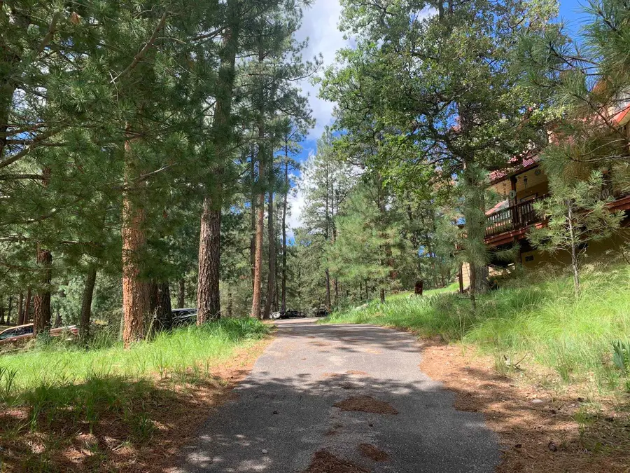 110 Cloud Country DR, Mayhill, NM 88339 - #3