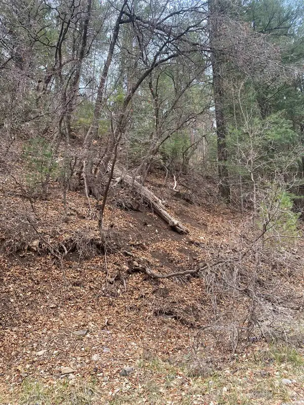 22 Apache LN, High Rolls Mountain Park, NM 88325-0000