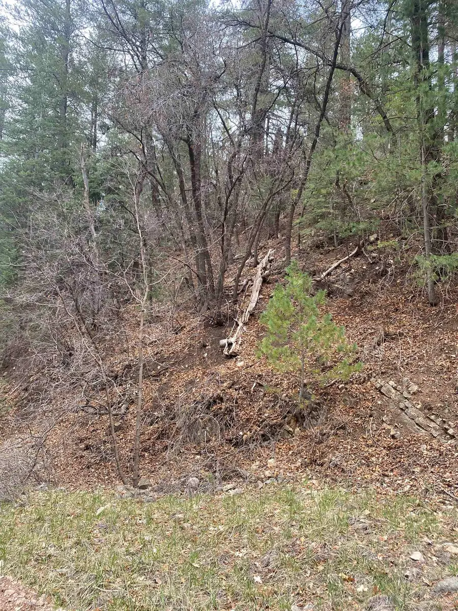 22 Apache LN, High Rolls Mountain Park, NM 88325-0000 - #2