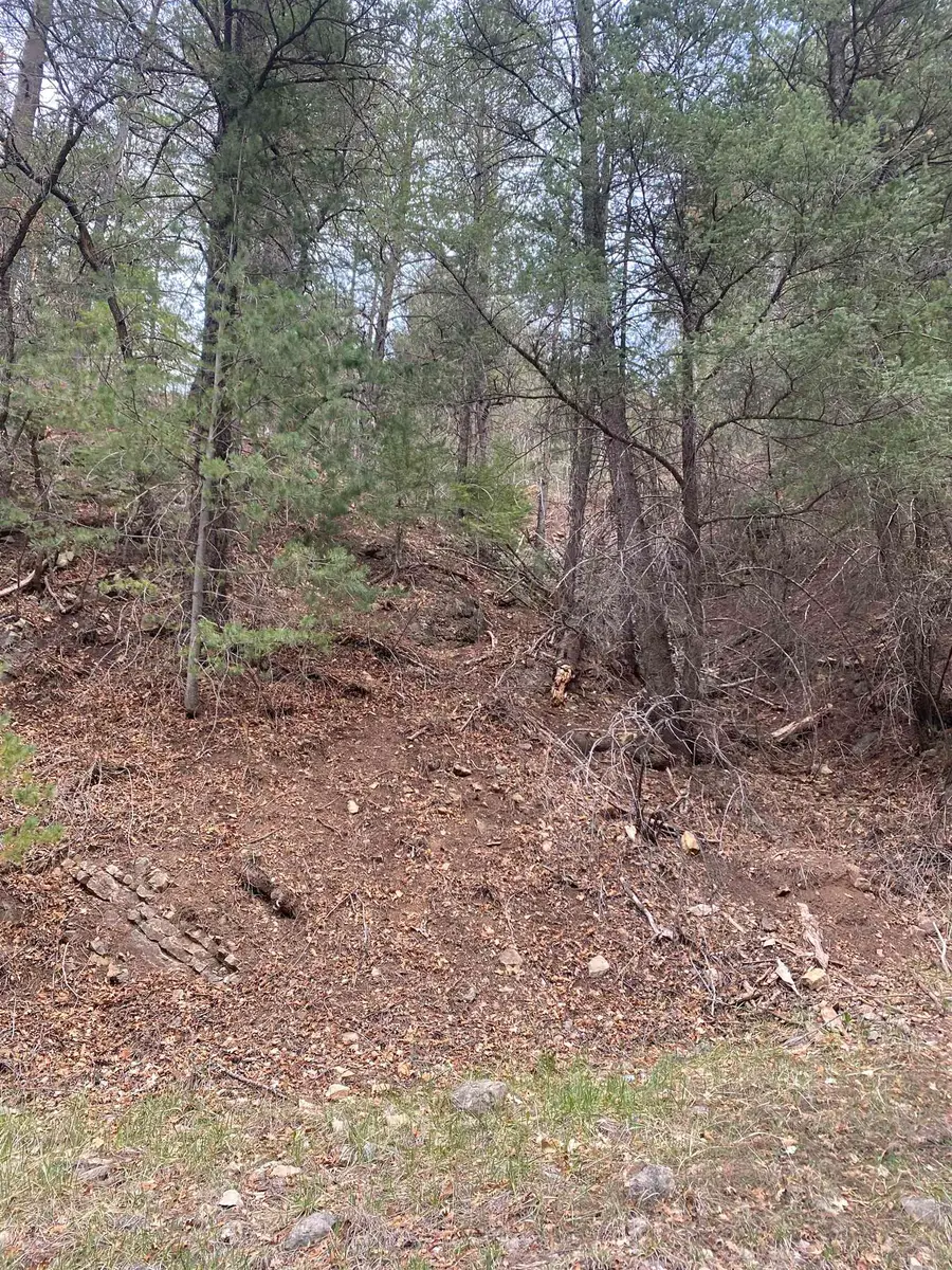 22 Apache LN, High Rolls Mountain Park, NM 88325-0000 - #3