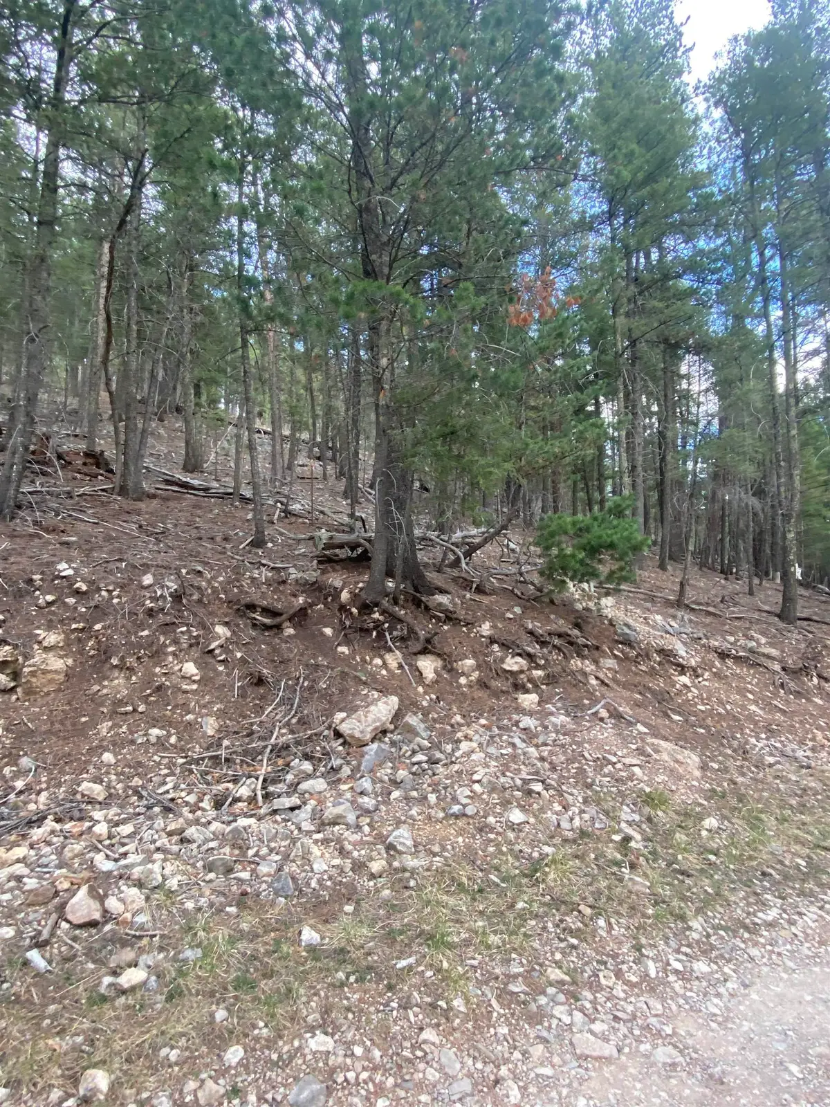 5 Forest View Rd, Cloudcroft, NM 88317 - #1