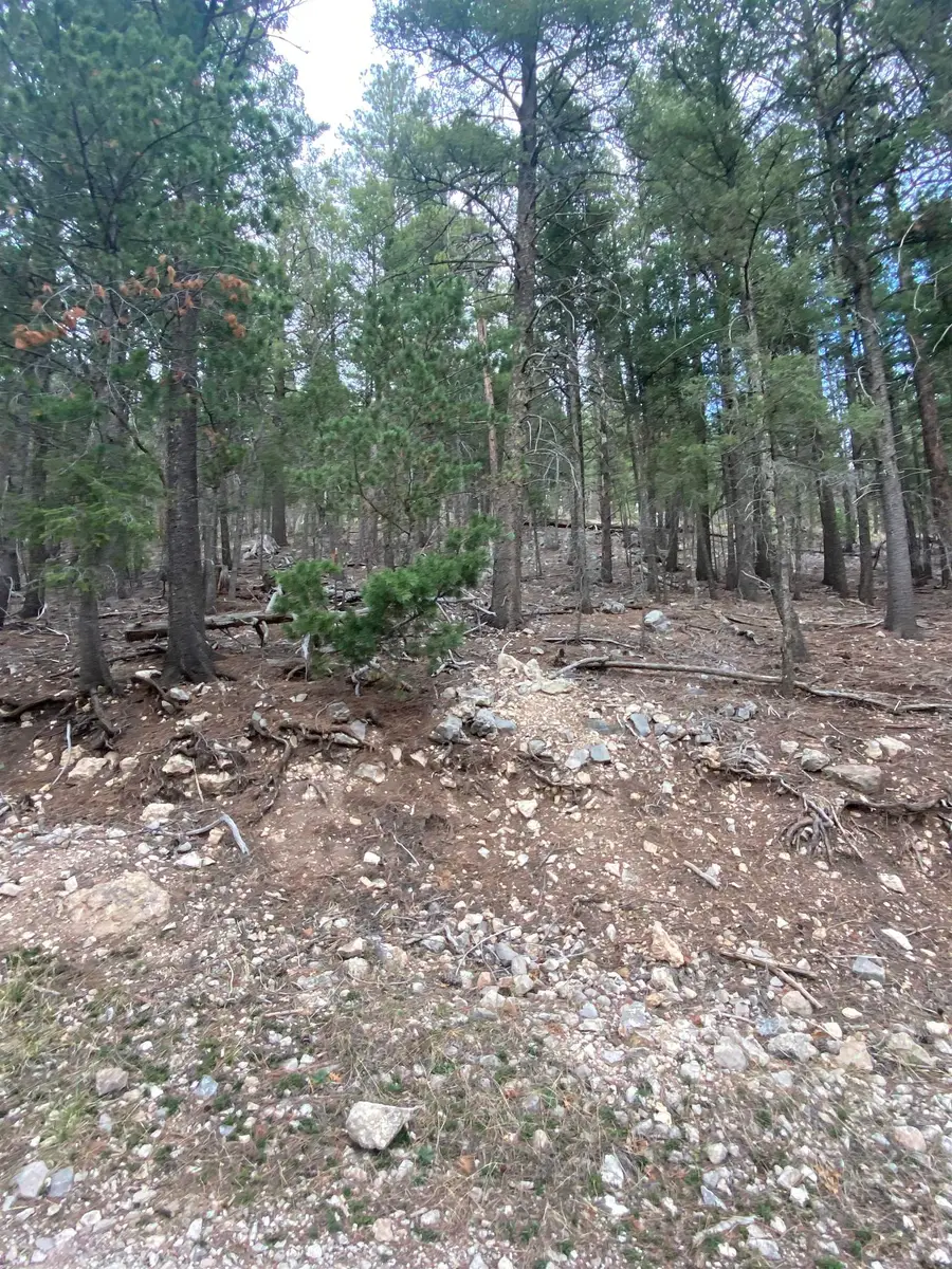 5 Forest View Rd, Cloudcroft, NM 88317 - #2