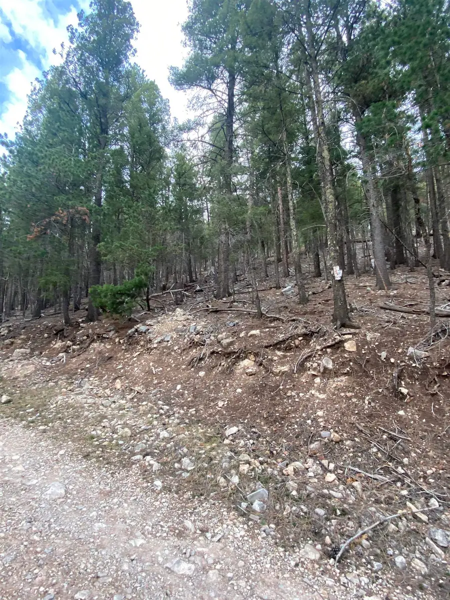 5 Forest View Rd, Cloudcroft, NM 88317 - #3
