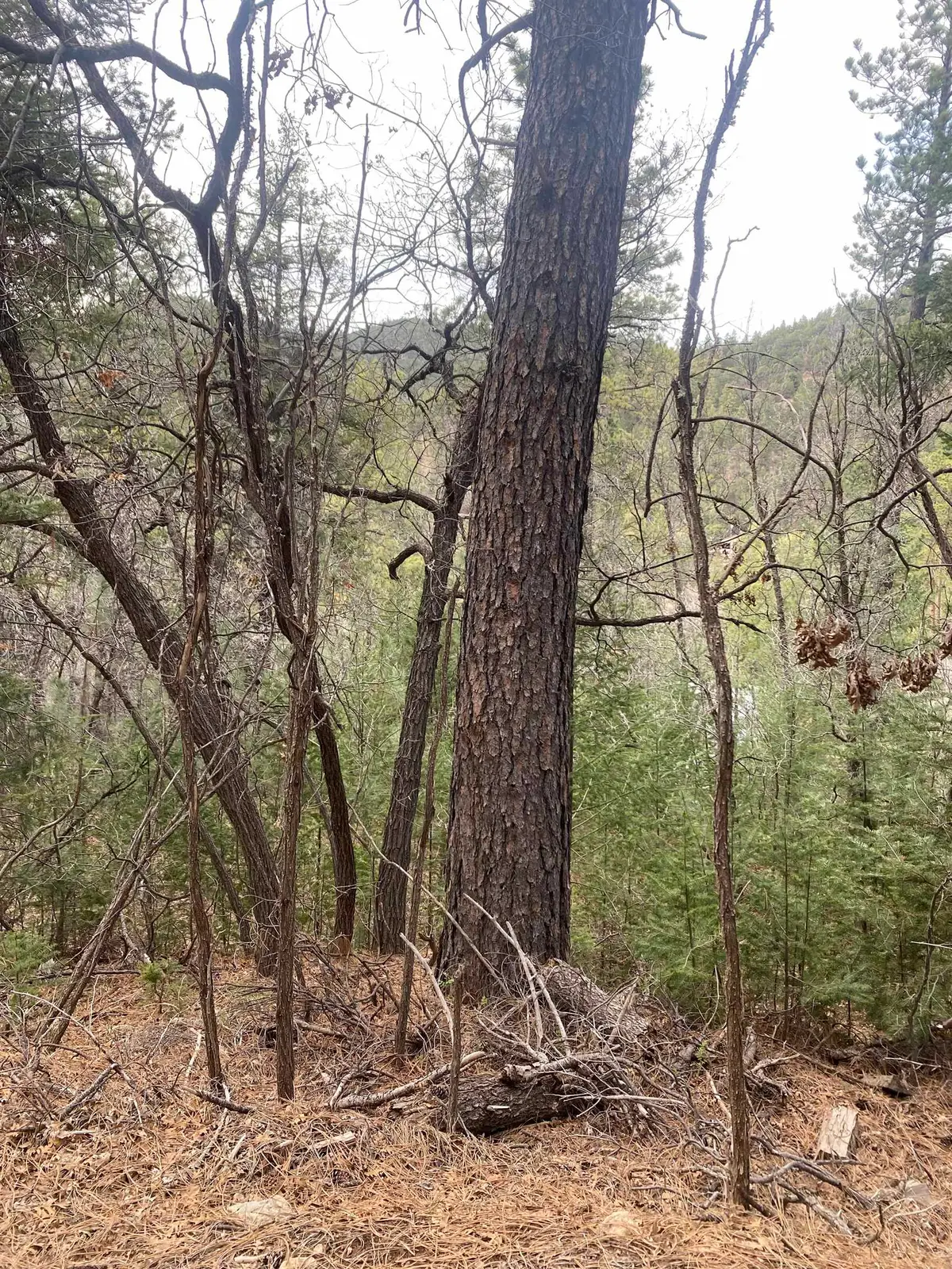 4 Devils Tower Ln, High Rolls Mountain Park, NM 88325-0000 - #1