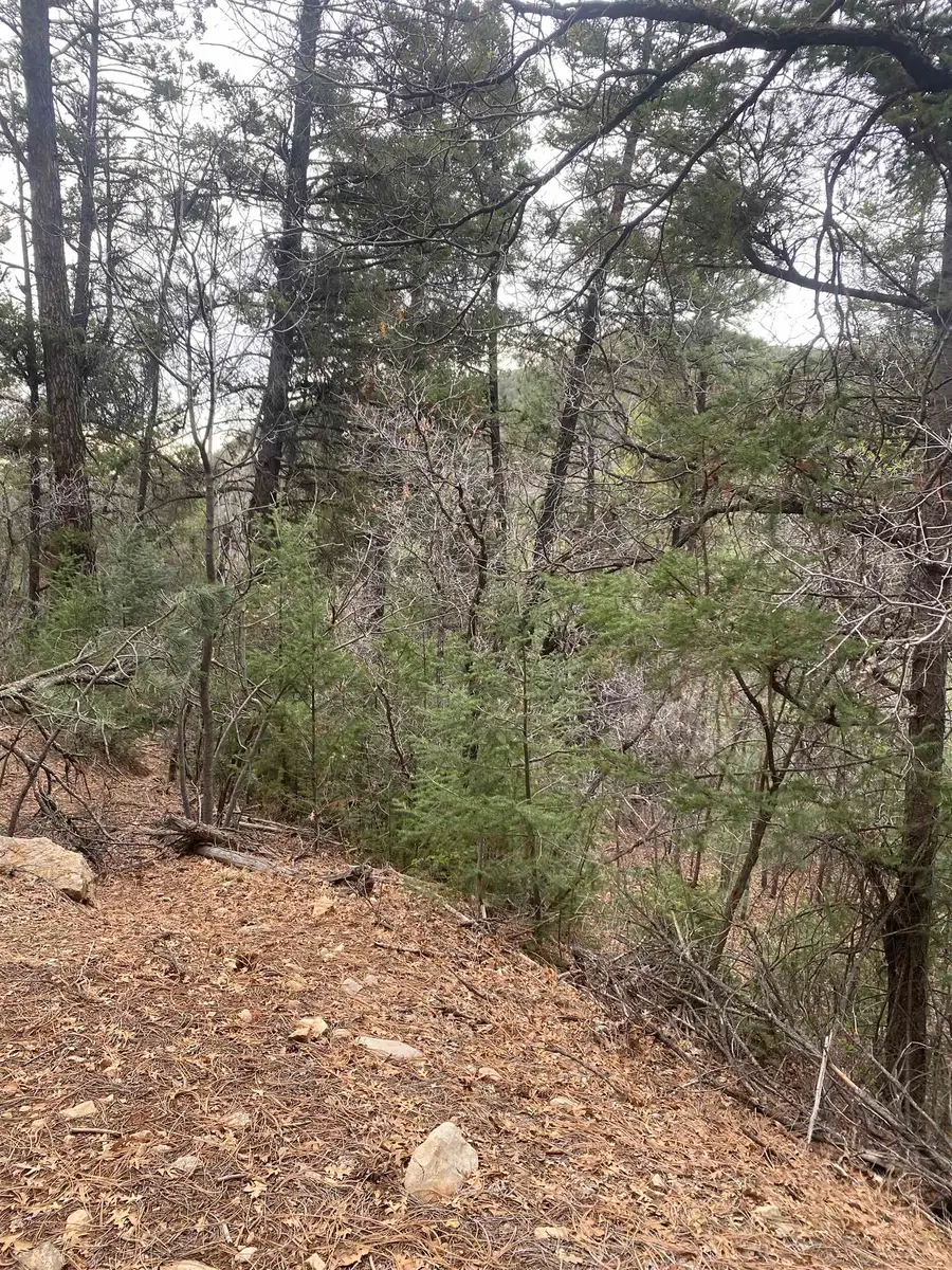 4 Devils Tower Ln, High Rolls Mountain Park, NM 88325-0000 - #2