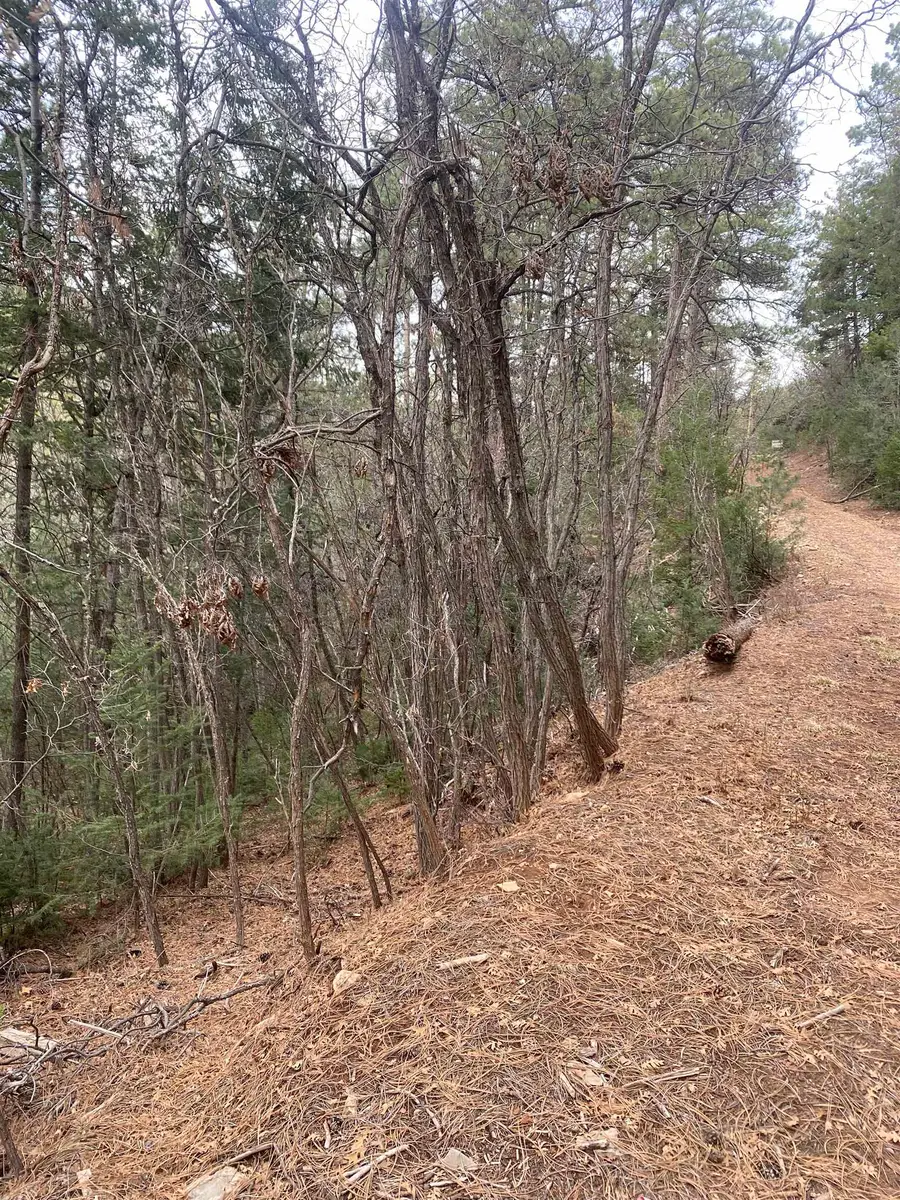 4 Devils Tower Ln, High Rolls Mountain Park, NM 88325-0000 - #3