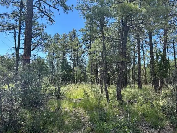 16 Homewood Dr, Timberon, NM 88350