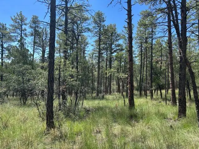 16 Homewood Dr, Timberon, NM 88350 - #2