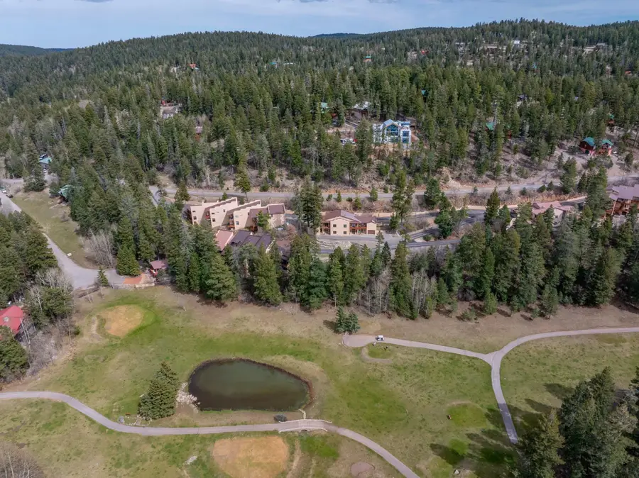 10 Sleepy Bear Loop, Cloudcroft, NM 88317-0000 - #3