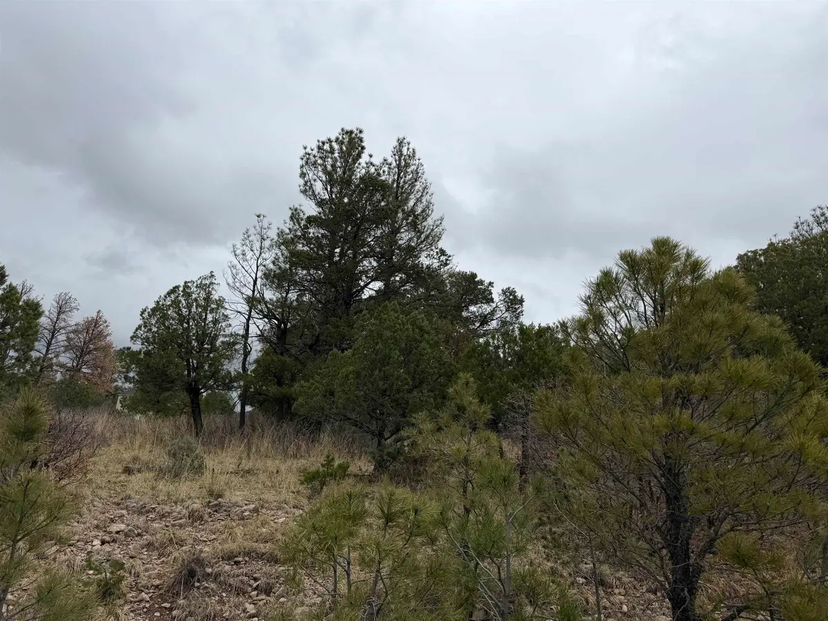 Milton Rd, Timberon, NM 88350 - #1