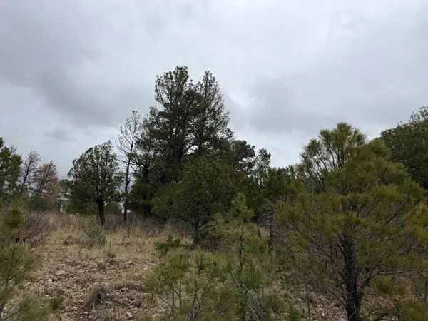 Milton Rd, Timberon, NM 88350