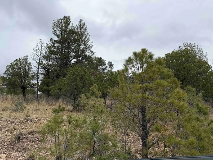 Milton Rd, Timberon, NM 88350 - #2