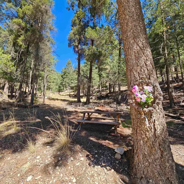 000 Black Forest DR, Cloudcroft, NM 88317-0000
