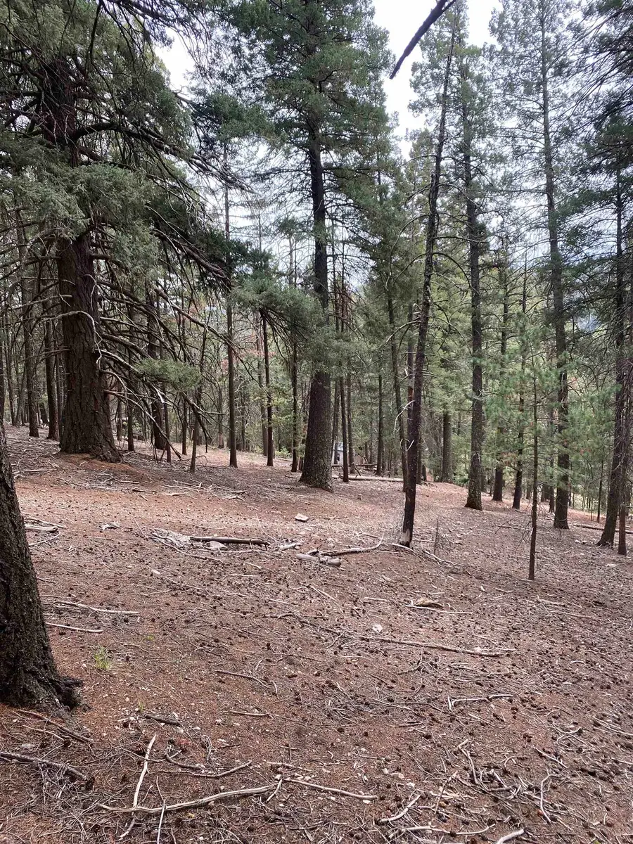 Squirrel Ln, Cloudcroft, NM 88317-0000 - #2