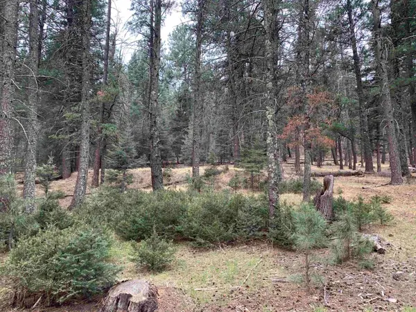 8 Sugar Maple, Mayhill, NM 88339