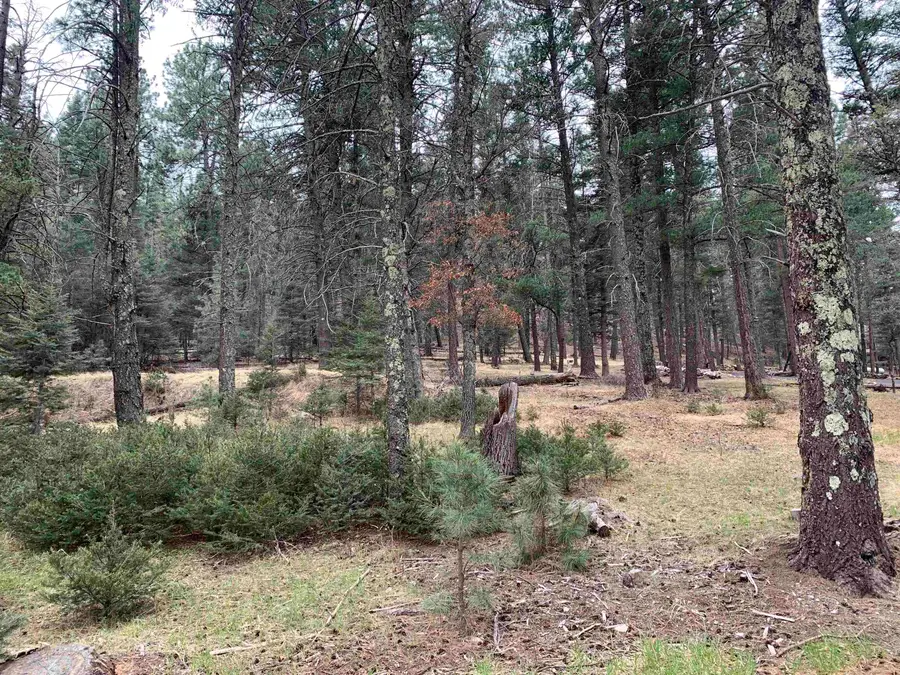 8 Sugar Maple, Mayhill, NM 88339 - #2