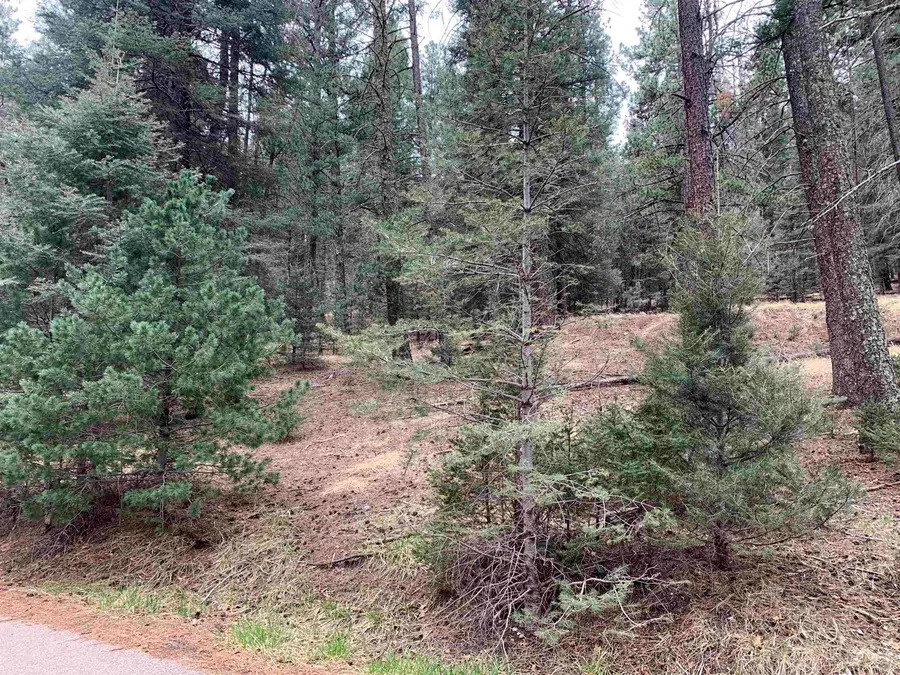 8 Sugar Maple, Mayhill, NM 88339 - #3