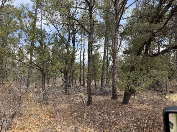 Trout Dr, Timberon, NM 88350