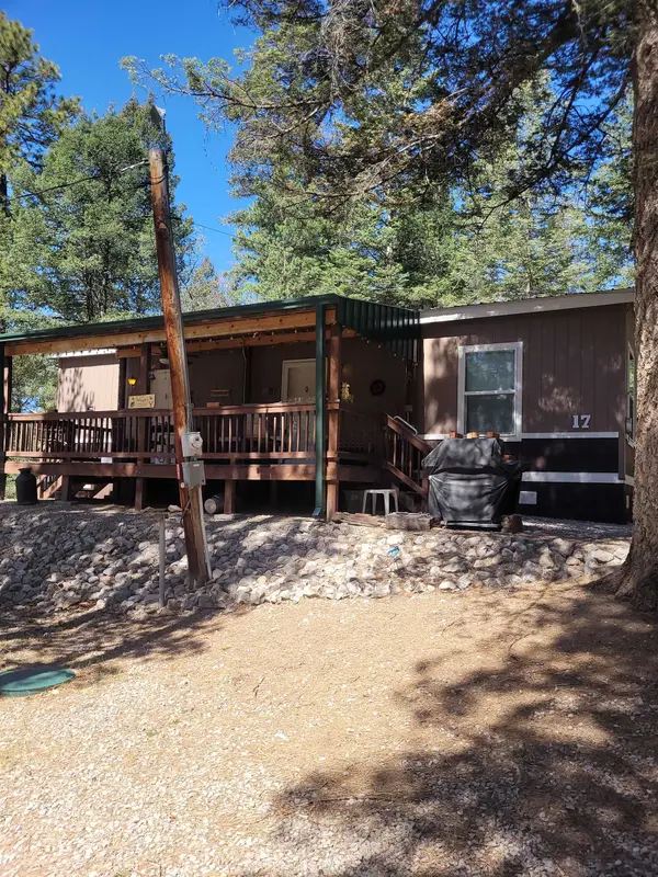 17 Oak Ridge Loop, Cloudcroft, NM 88317-9999