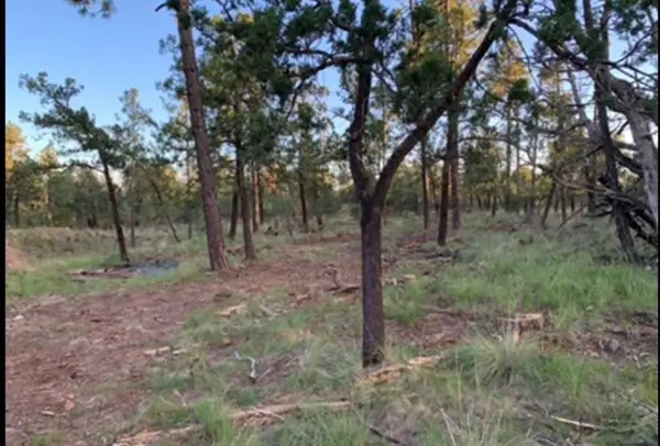 Bagdad DR, Timberon, NM 88350