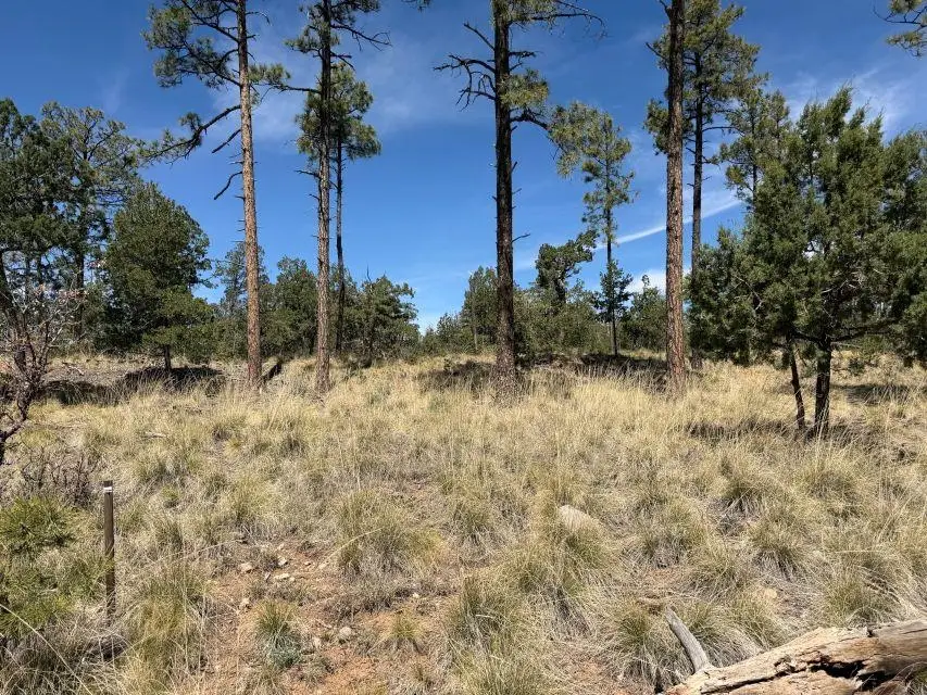 Bagdad DR, Timberon, NM 88350 - #2