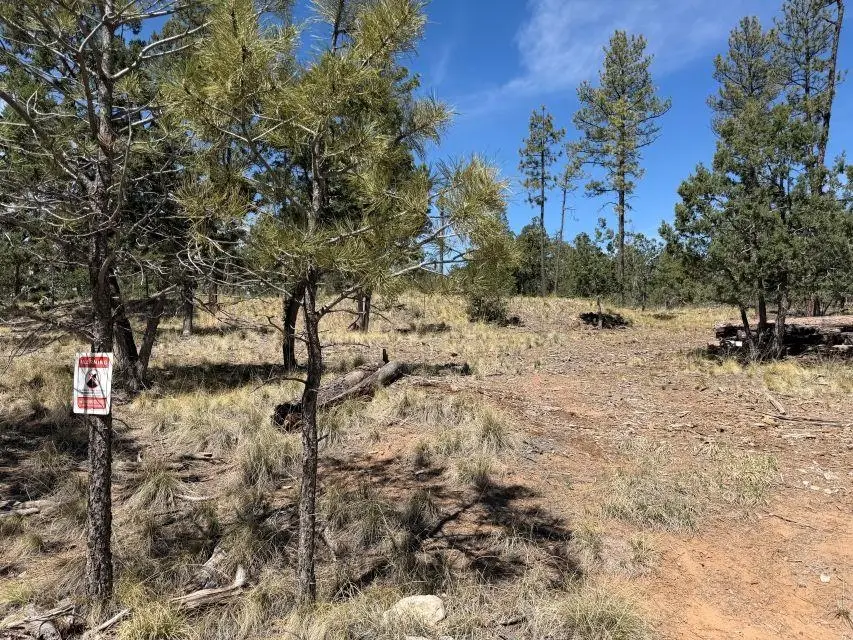 Bagdad DR, Timberon, NM 88350 - #3