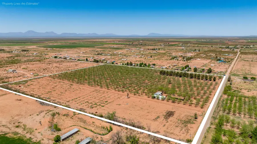 186 Sioux TRL, Tularosa, NM 88352 - #3