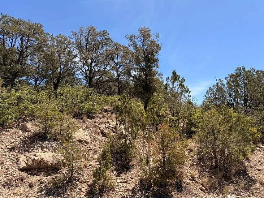 Longfellow Ave, Timberon, NM 88350 - #1
