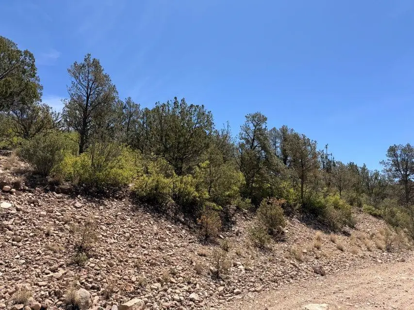 Longfellow Ave, Timberon, NM 88350 - #2
