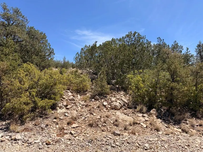 Longfellow Ave, Timberon, NM 88350 - #3