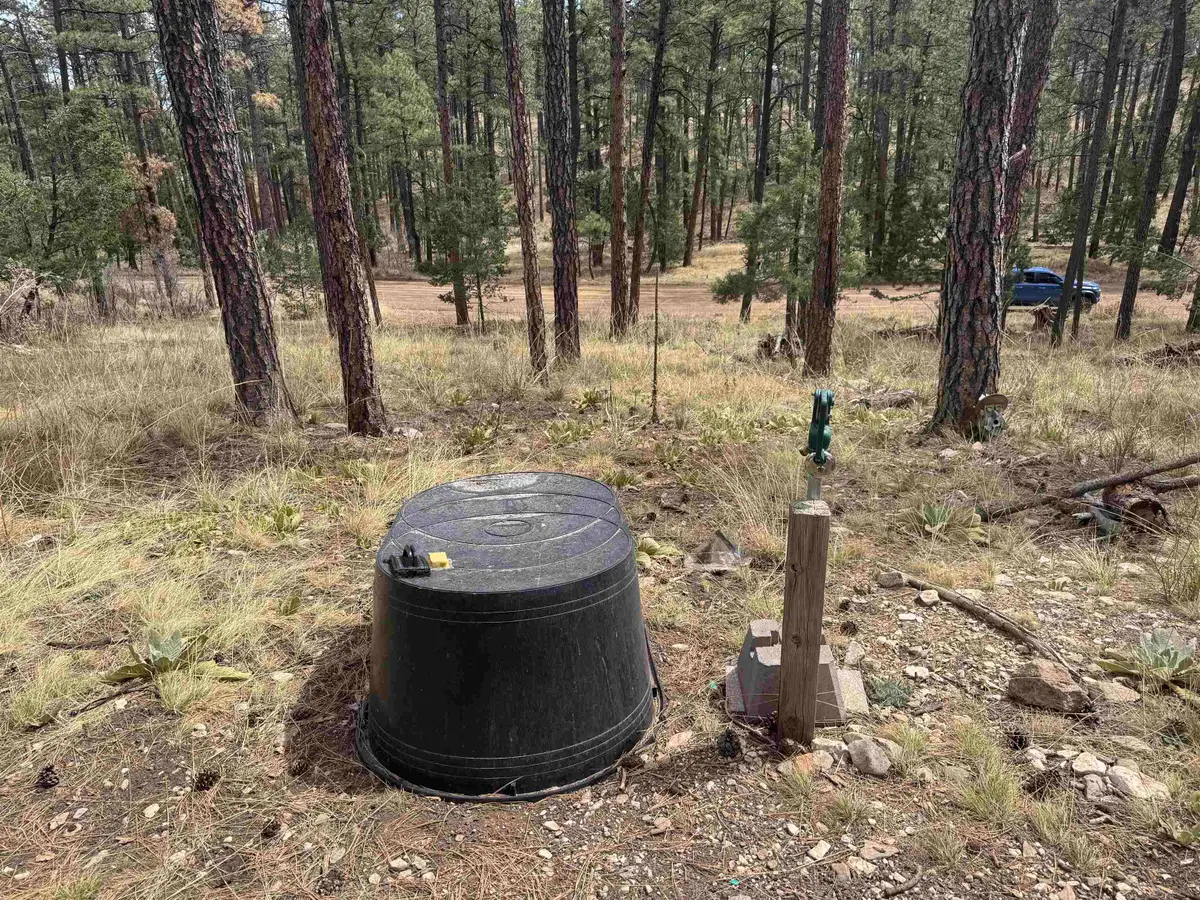 Arapaho DR, Timberon, NM 88350-0000 - #1
