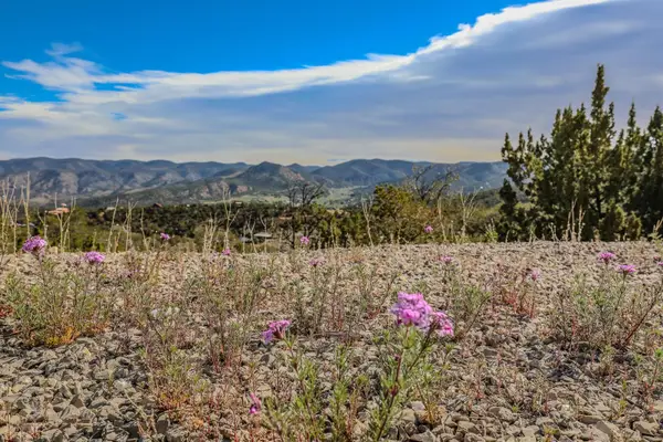 41 Sierra Blanca Rd, High Rolls Mountain Park, NM 88325