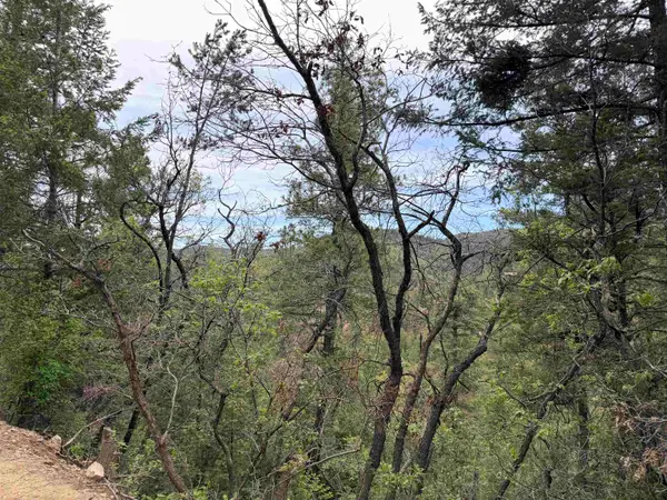 Henry Summit Dr, High Rolls Mountain Park, NM 88325