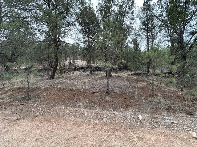 150 Shallow Creek Rd, Timberon, NM 88350 - #1